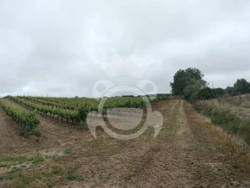 Terreno para Venda em Corval