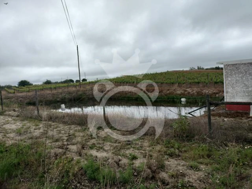 Terreno para Venda em Corval Foto 5