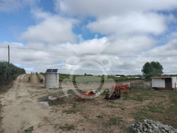 Terreno para Venda em Corval