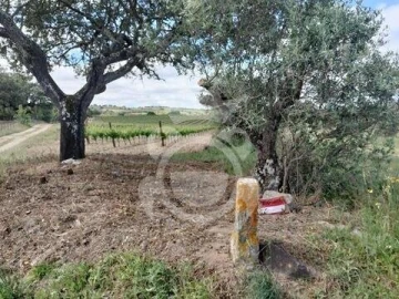 Terreno para Venda em Corval
