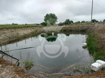Terreno para Venda em Corval