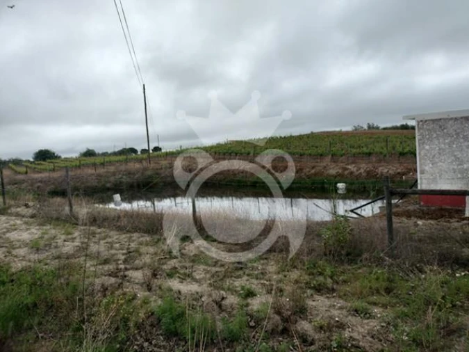 Terreno para Venda em Corval Foto 3