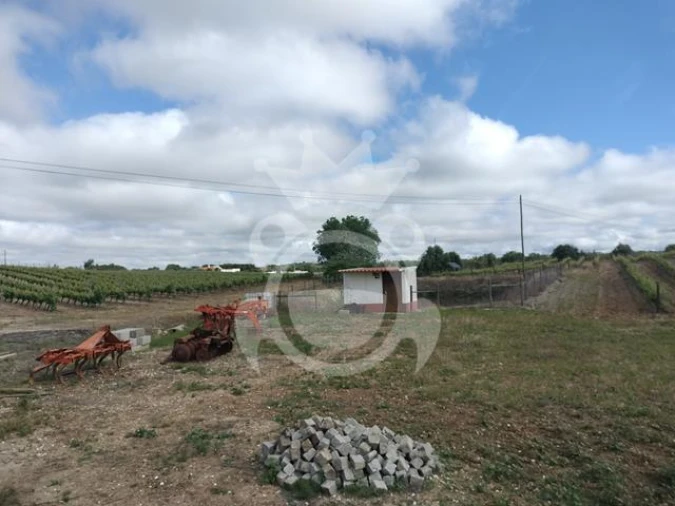 Terreno para Venda em Corval Foto 9