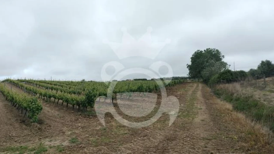 Terreno para Venda em Corval