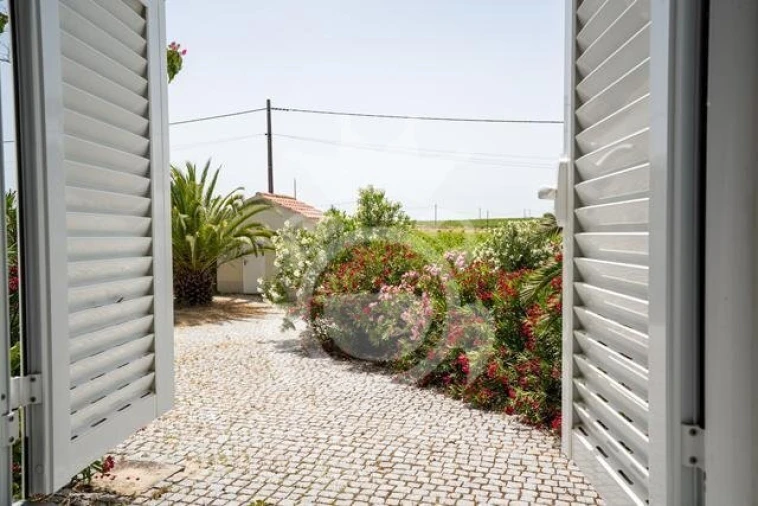 Quinta T3 para Venda em Reguengos de Monsaraz Foto 20