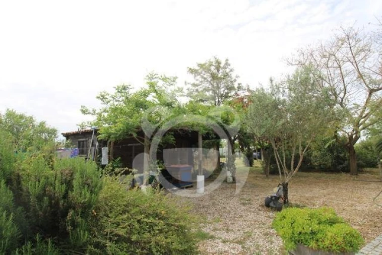 Quinta T3 para Venda em Reguengos de Monsaraz Foto 20