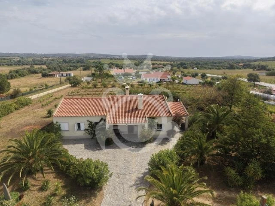 Quinta T3 para Venda em Reguengos de Monsaraz Foto 18