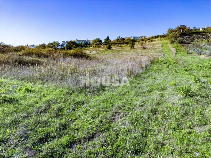 Terreno para Venda em Batalha Foto 9
