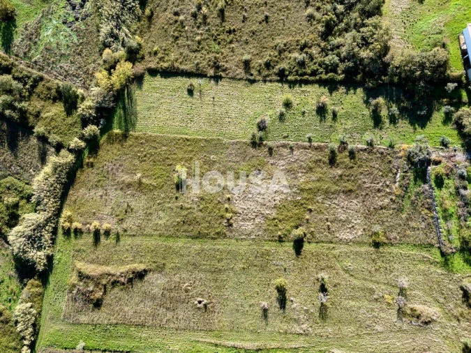 Terreno para Venda em Batalha Foto 5