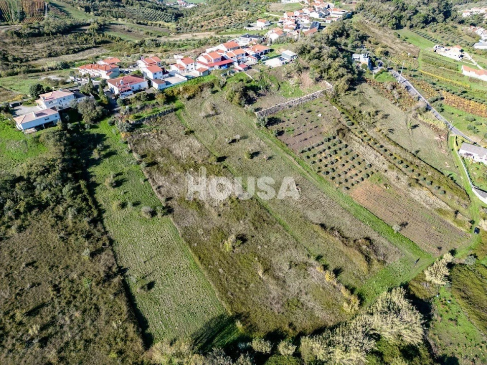 Terreno para Venda em Batalha Foto 2