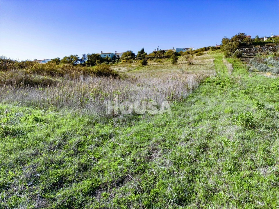 Terreno para Venda em Batalha Foto 9