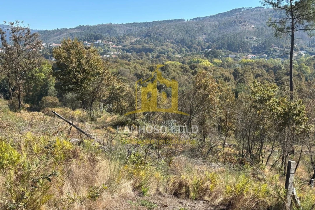 Terreno Agricola ou Rústico para Venda em Verim, Friande e Ajude Foto 13