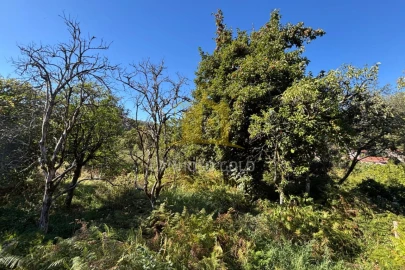 Terreno Agricola ou Rústico para Venda em Verim, Friande e Ajude