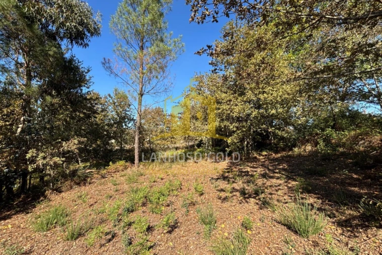 Terreno Agricola ou Rústico para Venda em Verim, Friande e Ajude Foto 14