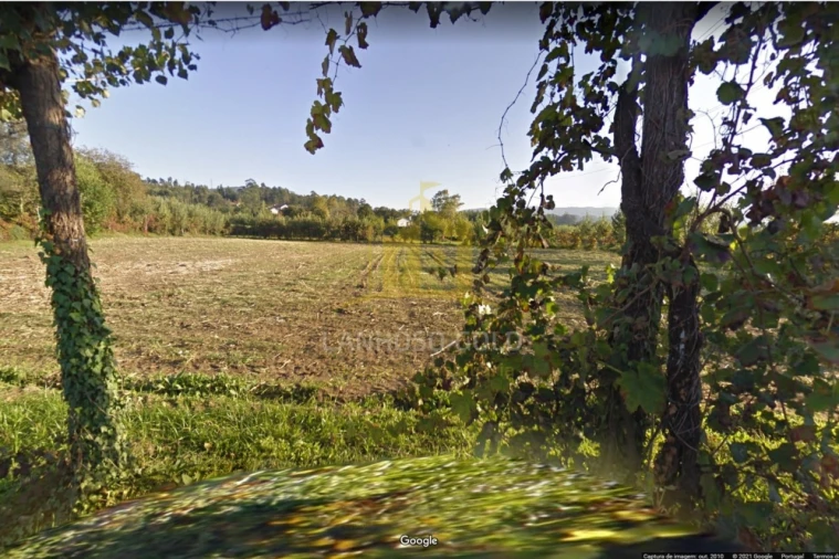 Quinta T8 para Venda em Verim, Friande e Ajude Foto 5