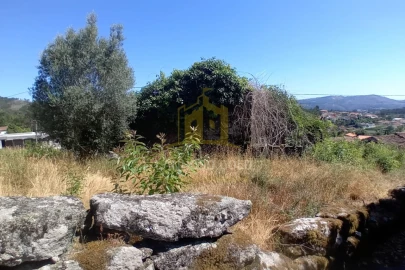Terreno para Venda em Fonte Arcada e Oliveira