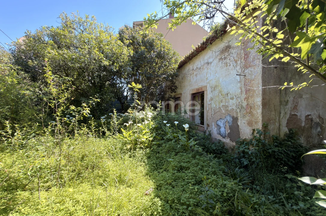 Moradia T9 para Venda em Sé Nova, Santa Cruz, Almedina e São Bartolomeu Foto 10