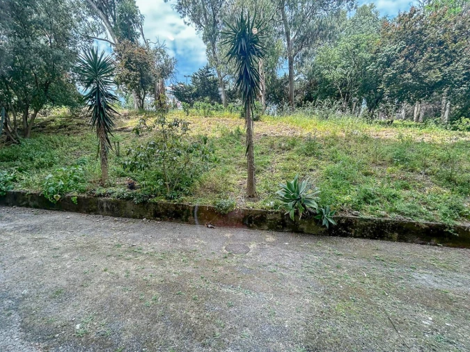 Apartamento T2 para Venda em Benfica Foto 20