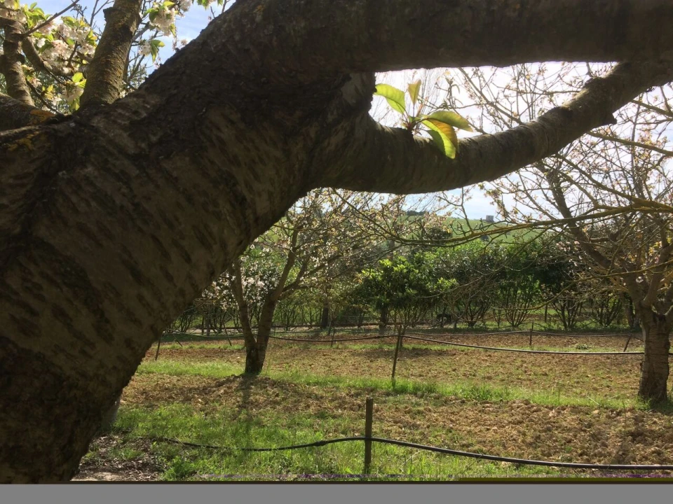 Quinta T4 para Venda em Romeira e Várzea Foto 25
