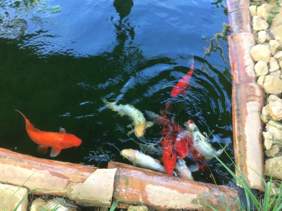 Quinta T4 para Venda em Romeira e Várzea Foto 31