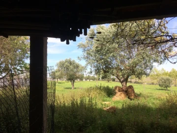 Quinta T4 para Venda em Romeira e Várzea