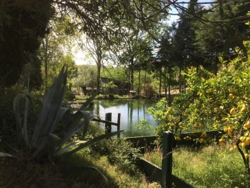 Quinta T4 para Venda em Romeira e Várzea