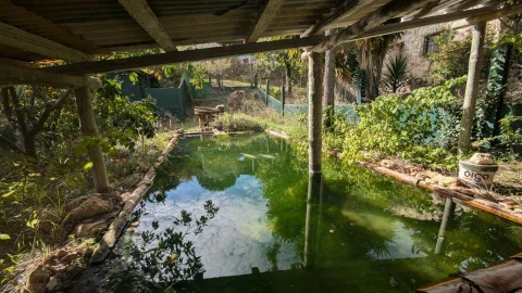 Quinta T4 para Venda em Romeira e Várzea