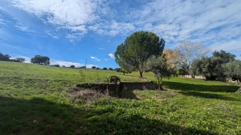 Quinta T4 para Venda em Romeira e Várzea