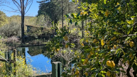 Quinta T4 para Venda em Romeira e Várzea