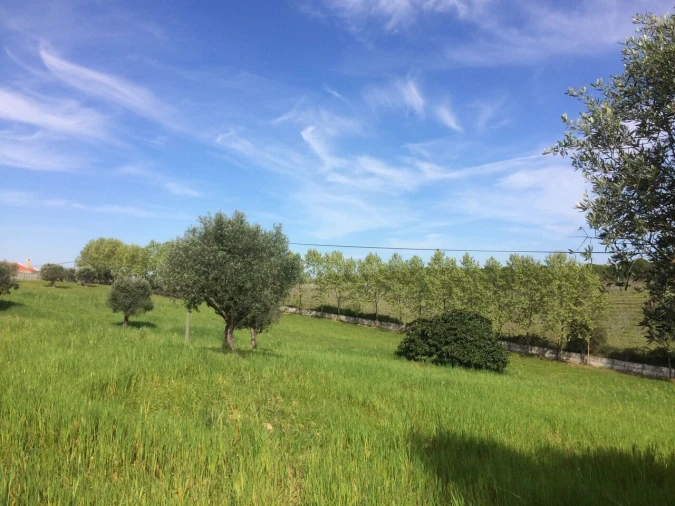 Quinta T4 para Venda em Romeira e Várzea Foto 27