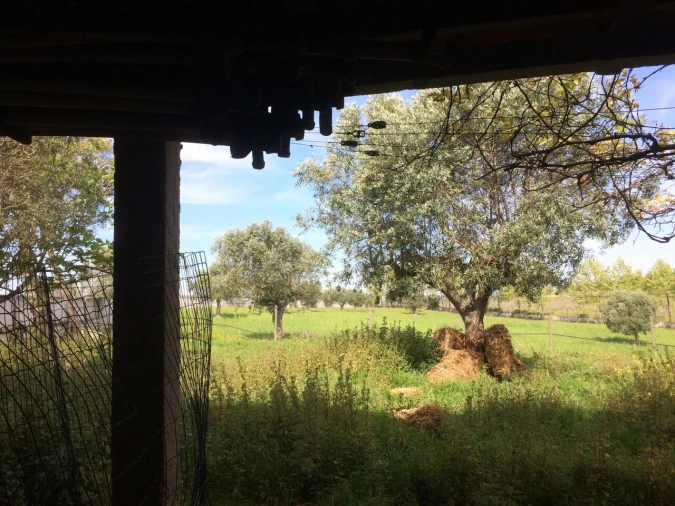 Quinta T4 para Venda em Romeira e Várzea Foto 30
