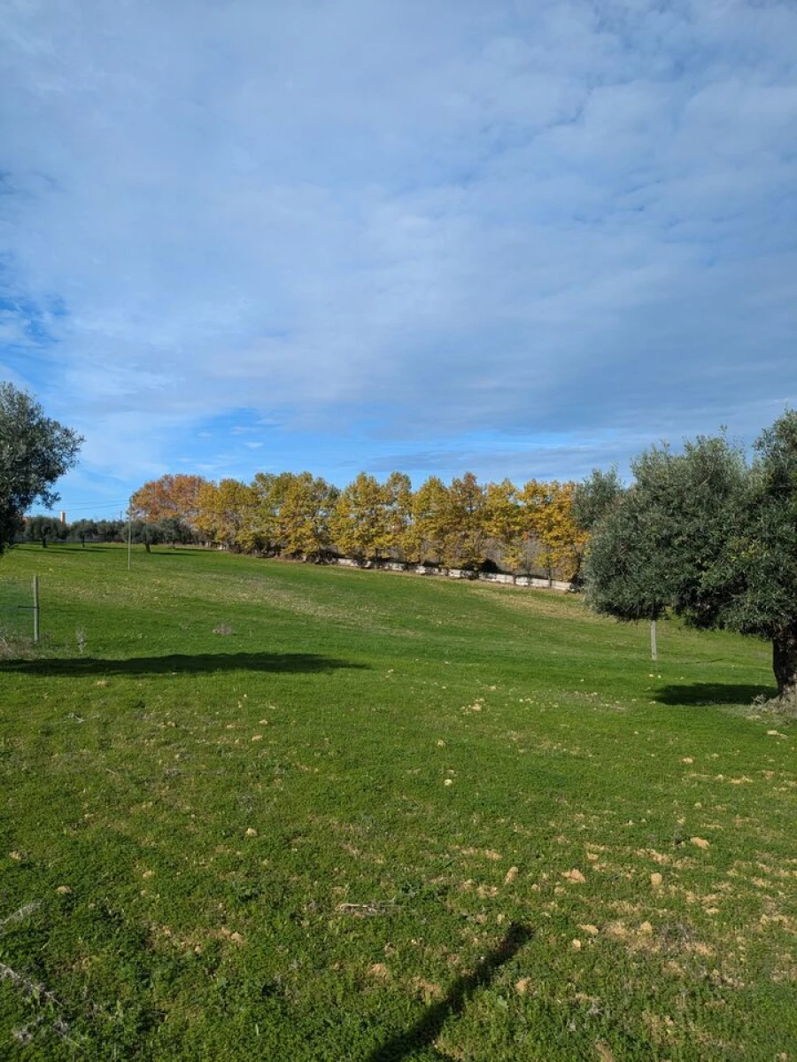 Quinta T4 para Venda em Romeira e Várzea Foto 40