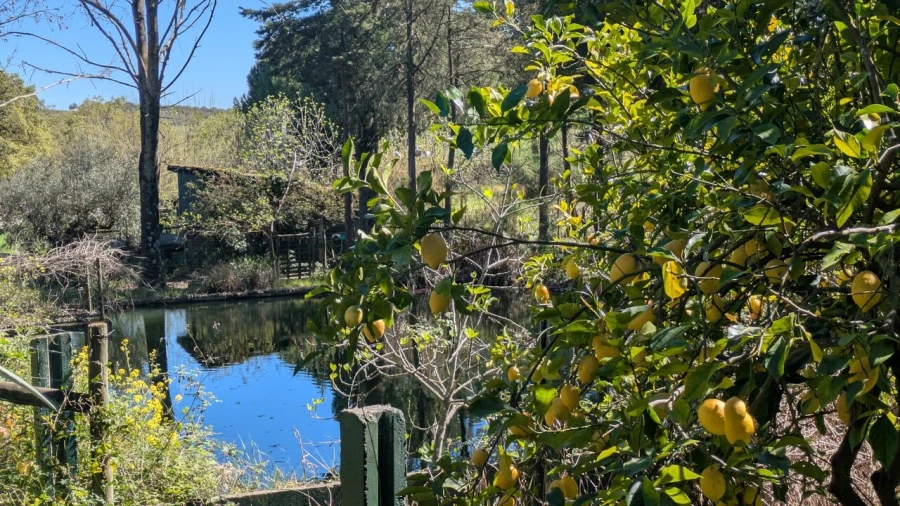 Quinta T4 para Venda em Romeira e Várzea Foto 8