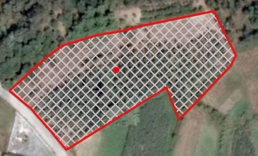 Terreno para Venda em Souto da Carpalhosa e Ortigosa Foto 12