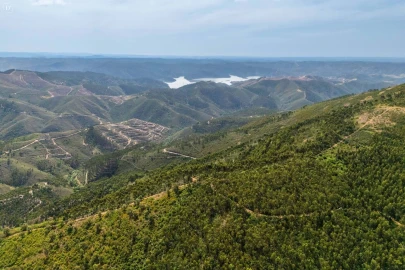 Moradia T7 para Venda em Alferce