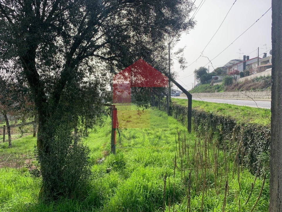 Terreno para Venda em Vila Verde e Barbudo Foto 2