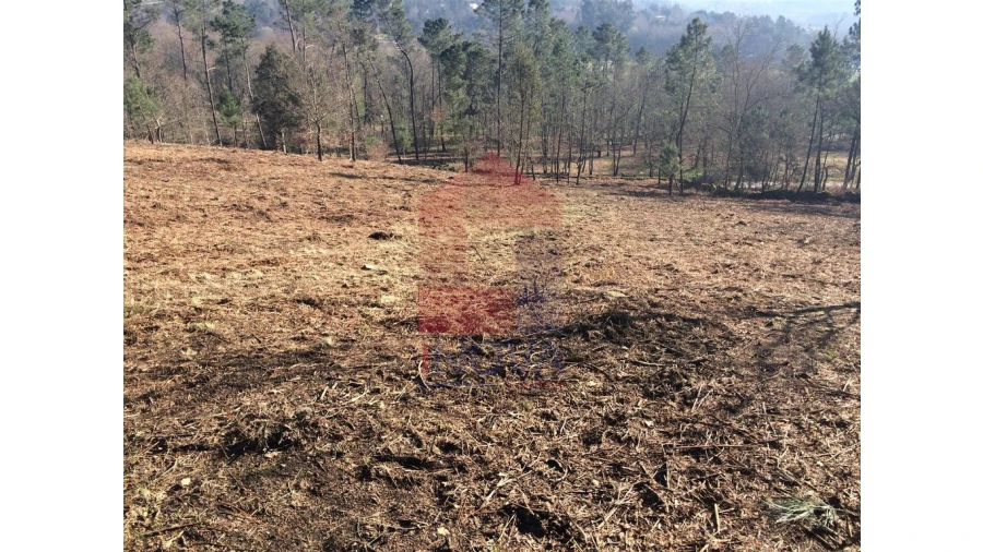 Terreno para Venda em Sabariz Foto 5