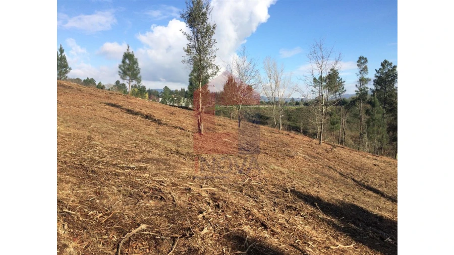 Terreno para Venda em Sabariz Foto 4