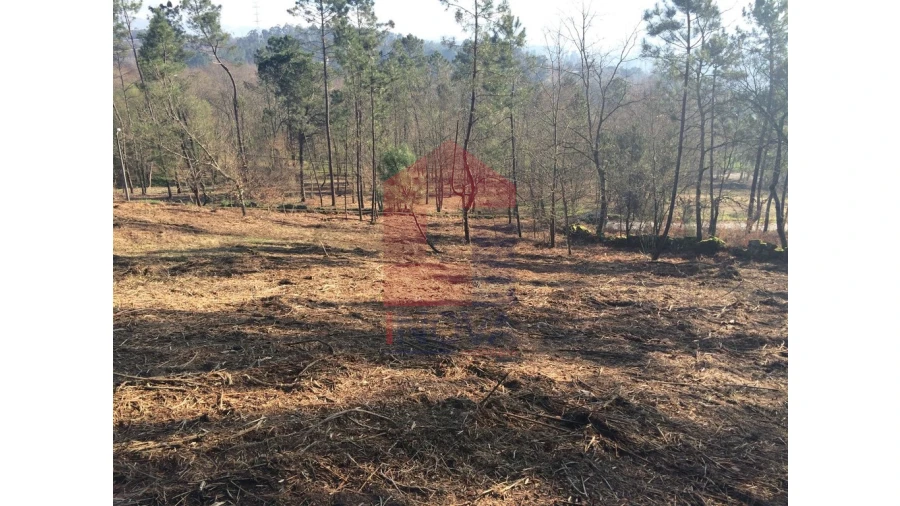 Terreno para Venda em Sabariz Foto 8