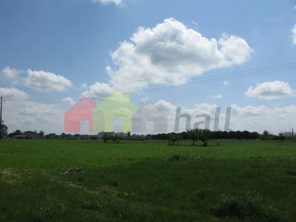 Terreno para Venda em Canaviais Foto 6