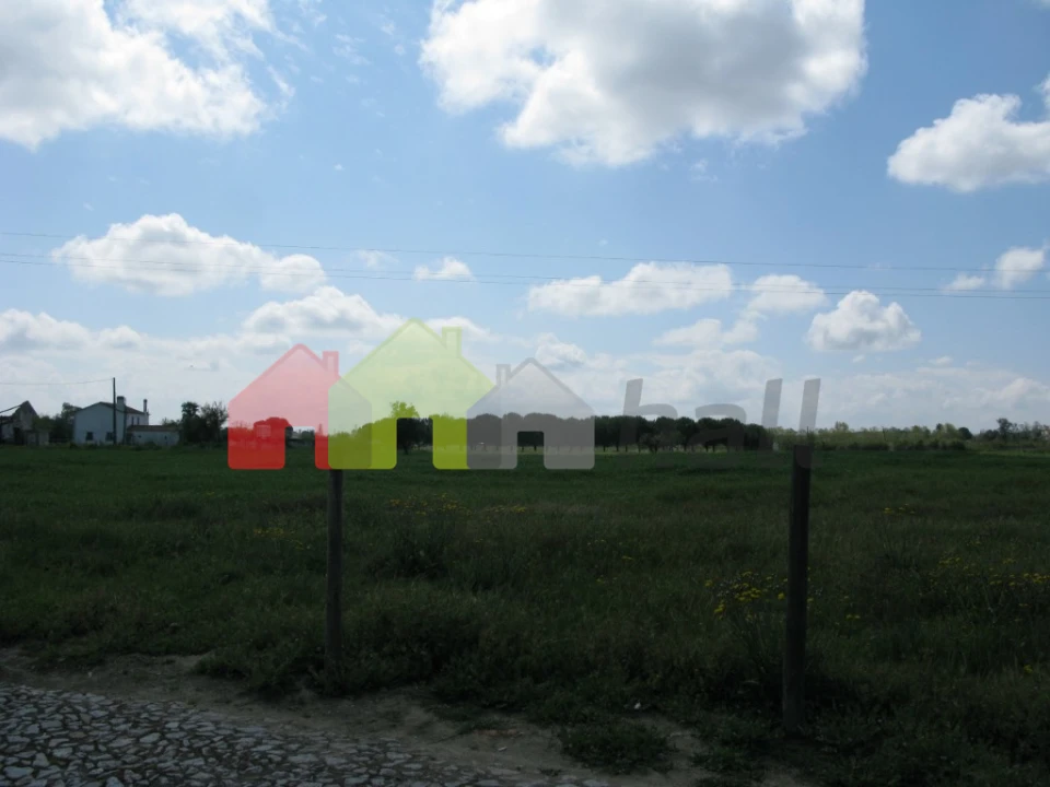 Terreno para Venda em Canaviais Foto 10