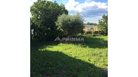 Terreno para Venda em Castelo Branco