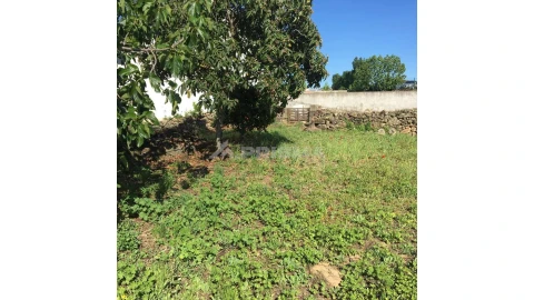 Terreno para Venda em Castelo Branco