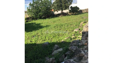 Terreno para Venda em Castelo Branco