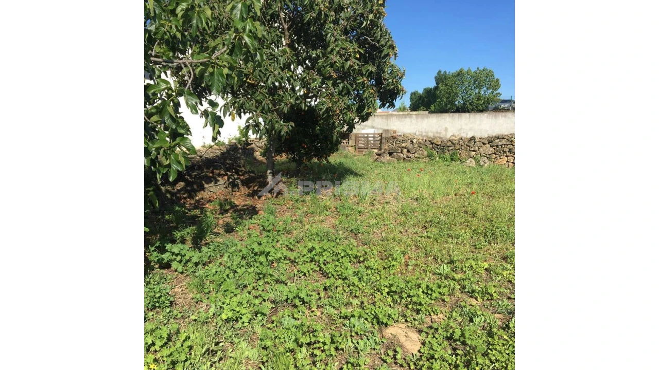 Terreno para Venda em Castelo Branco Foto 3