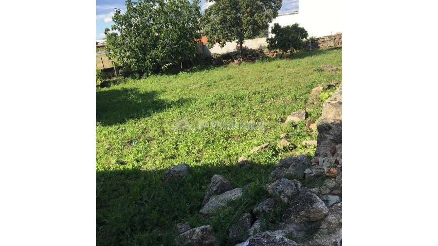 Terreno para Venda em Castelo Branco Foto 2