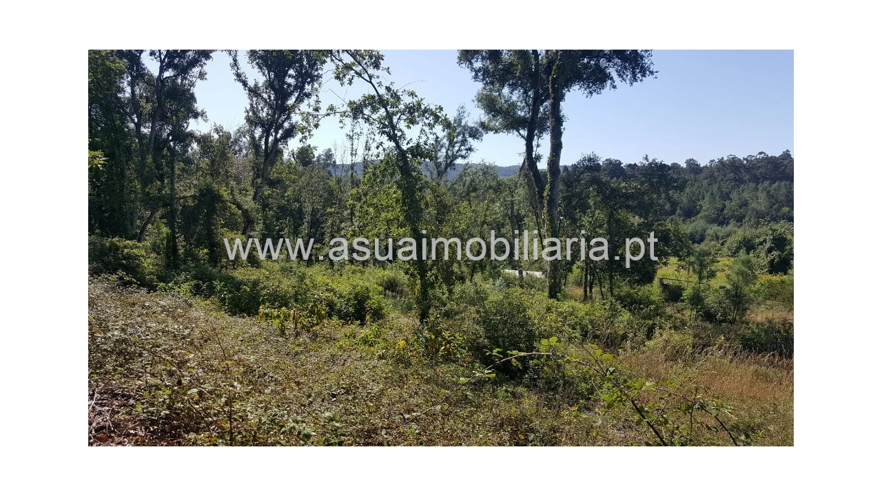 Terreno para Venda em Ferreiros, Prozelo e Besteiros Foto 4