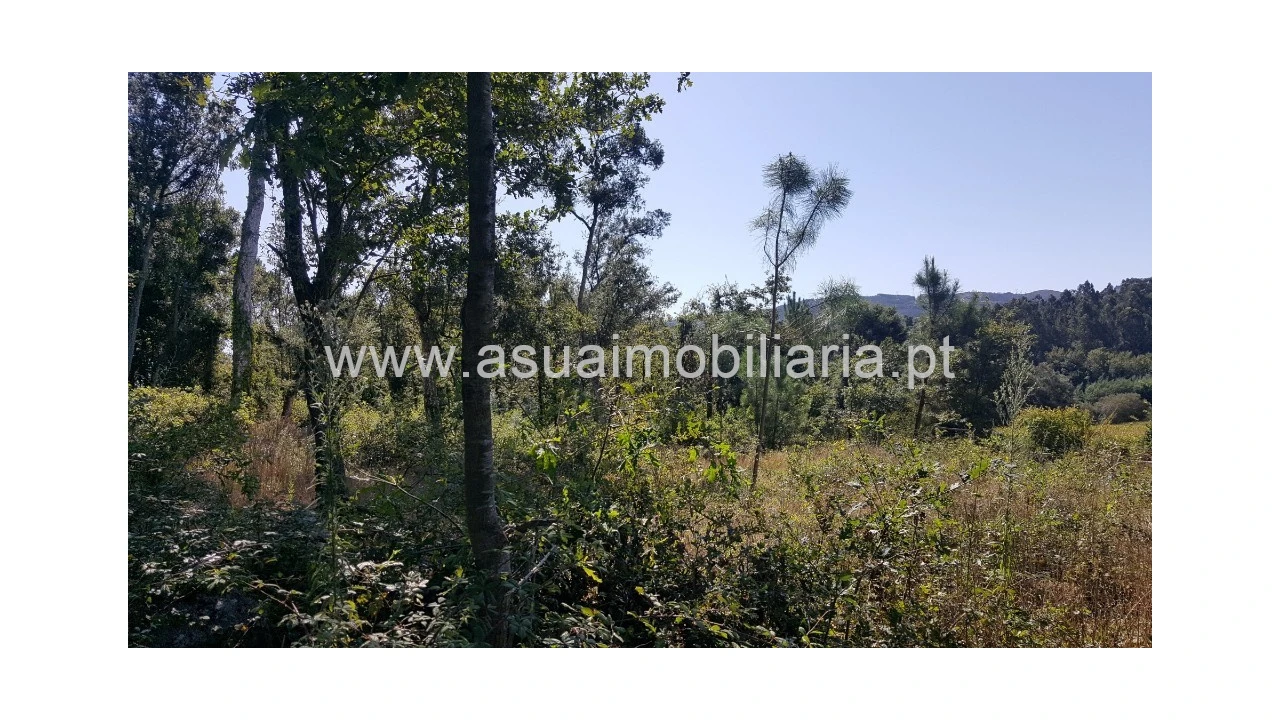 Terreno para Venda em Ferreiros, Prozelo e Besteiros Foto 2