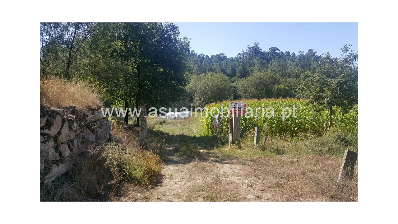Terreno para Venda em Ferreiros, Prozelo e Besteiros Foto 1