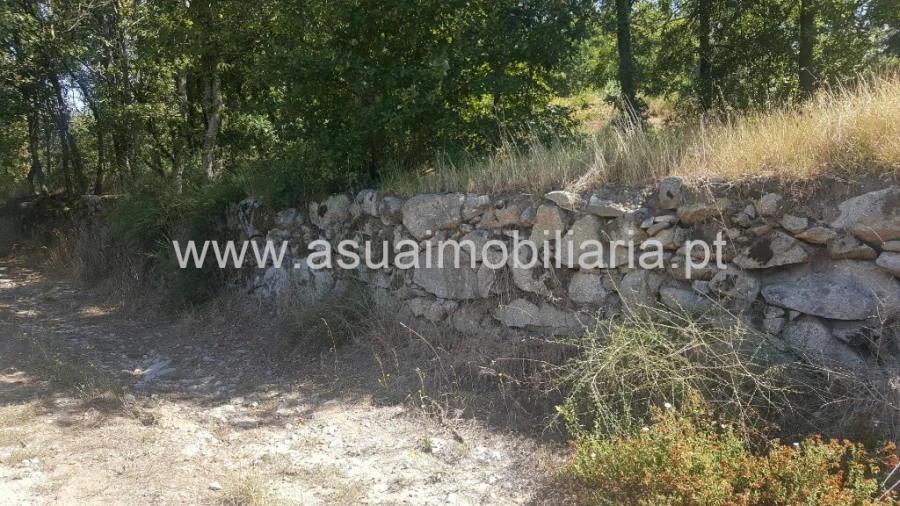 Terreno para Venda em Ferreiros, Prozelo e Besteiros Foto 7